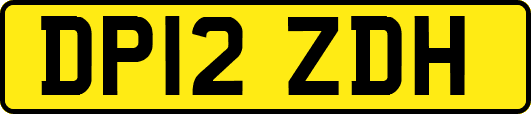 DP12ZDH