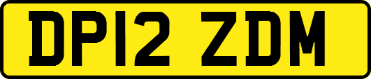 DP12ZDM