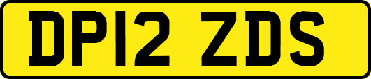 DP12ZDS