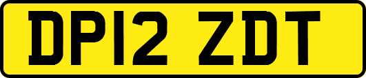 DP12ZDT