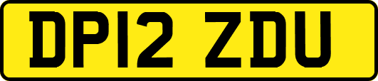DP12ZDU