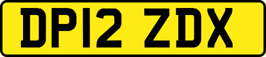 DP12ZDX
