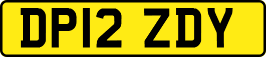 DP12ZDY
