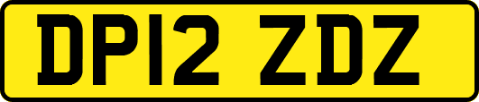 DP12ZDZ