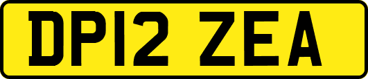 DP12ZEA