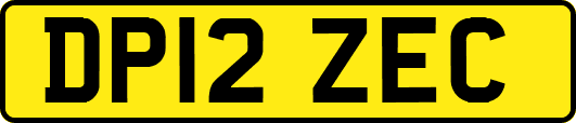 DP12ZEC