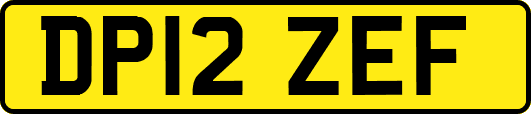 DP12ZEF