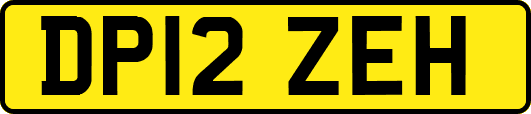 DP12ZEH