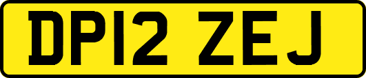 DP12ZEJ