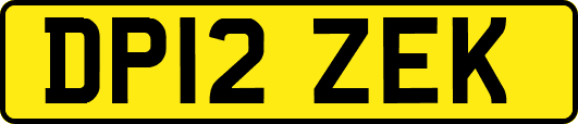 DP12ZEK