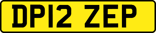 DP12ZEP