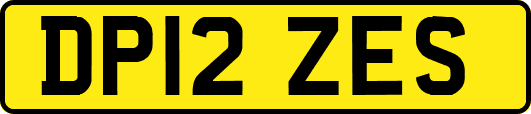 DP12ZES