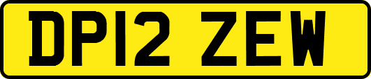 DP12ZEW