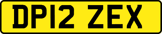 DP12ZEX