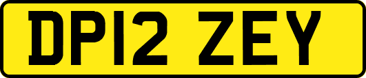 DP12ZEY