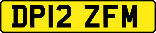 DP12ZFM