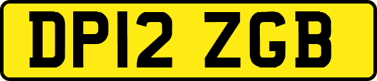 DP12ZGB