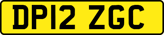 DP12ZGC