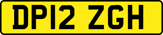 DP12ZGH