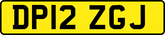 DP12ZGJ