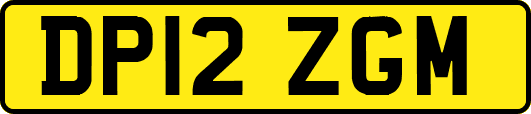 DP12ZGM