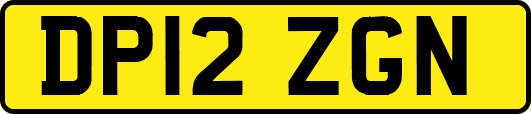 DP12ZGN