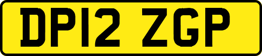 DP12ZGP