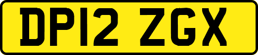DP12ZGX