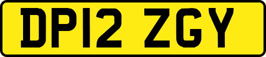 DP12ZGY