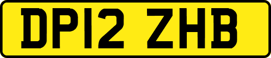 DP12ZHB