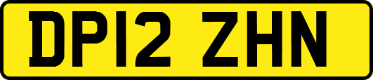 DP12ZHN