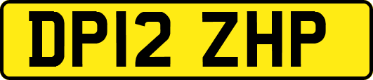 DP12ZHP