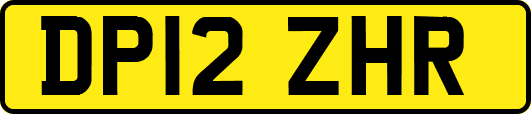 DP12ZHR