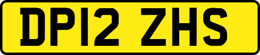 DP12ZHS