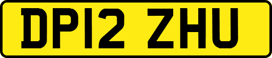 DP12ZHU