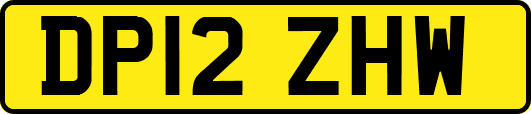 DP12ZHW