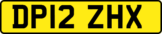 DP12ZHX