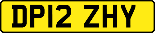 DP12ZHY