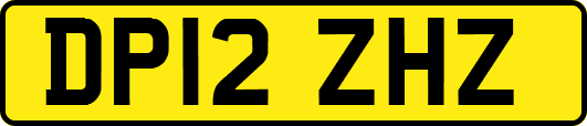 DP12ZHZ