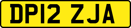 DP12ZJA