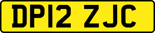 DP12ZJC