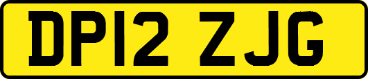 DP12ZJG