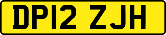 DP12ZJH