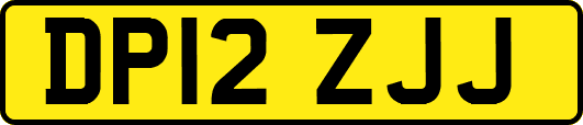 DP12ZJJ