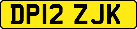 DP12ZJK