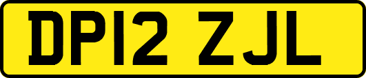 DP12ZJL