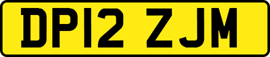 DP12ZJM