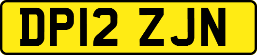 DP12ZJN