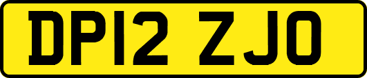 DP12ZJO