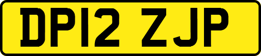 DP12ZJP